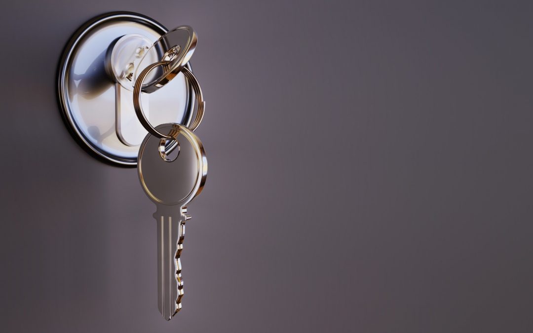 A Complete Guide on Mortise Locks, and How They Compare to Other Locks
